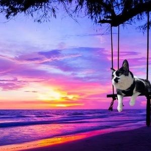 Meet your Posher, Jess